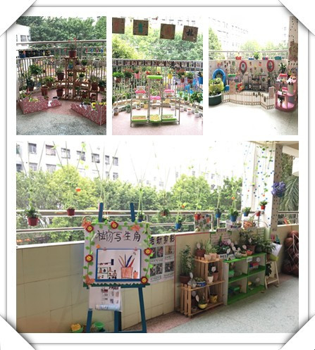 春暖花開，綠樹成蔭——遠恒佳公明第二幼兒園自然觀察角大比拼