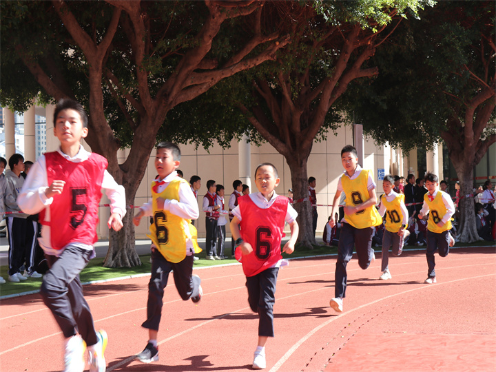 體育節(jié)閉幕 | 專家認(rèn)為：不僅是素質(zhì)教育展演， 更是愛國教育的大型體驗(yàn)活動