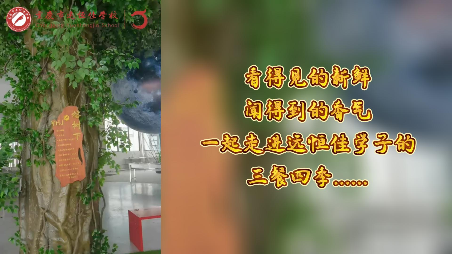 美好學(xué)校|看得見的新鮮，聞得到的香味，一起走進(jìn)遠(yuǎn)恒佳學(xué)子的三餐四季!