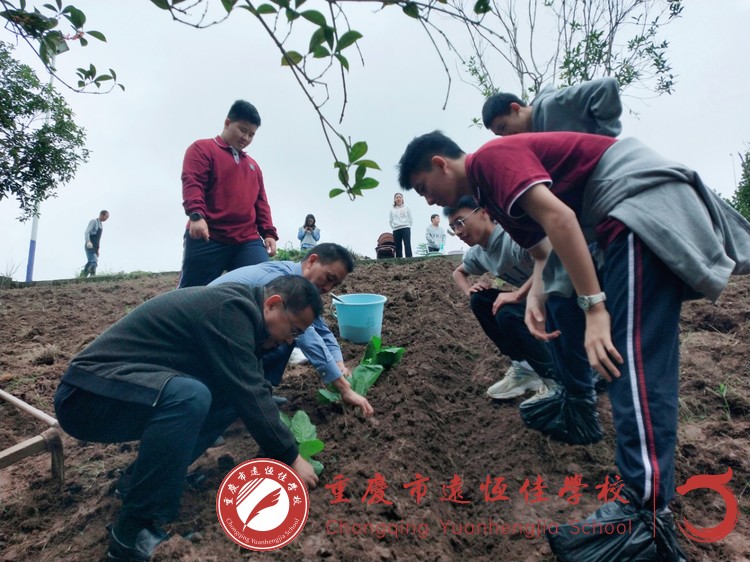 美好教育|寄情于勞動(dòng) 成長(zhǎng)于課程———高一年級(jí)健康食育課程之種植篇 美好教育|寄情于勞動(dòng) 成長(zhǎng)于課程———高一年級(jí)健康食育課程之種植篇